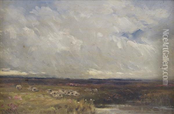 Moorlandscene Oil Painting - Edmund Morison Wimperis
