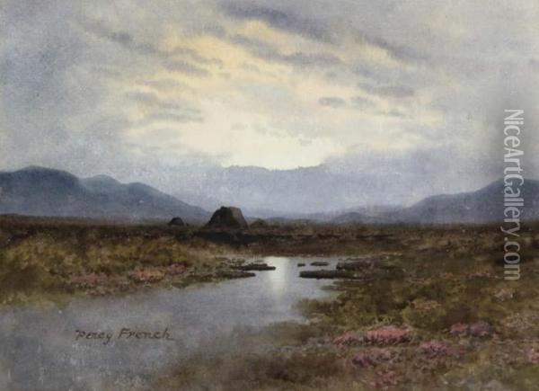 Bog Scene Oil Painting - William Percy French