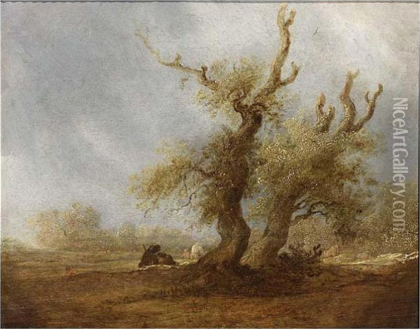 A Wooded Landscape With Oil Painting - Salomon van Ruysdael
