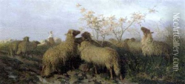Les Moutons Oil Painting - August Friedrich Albrecht Schenck
