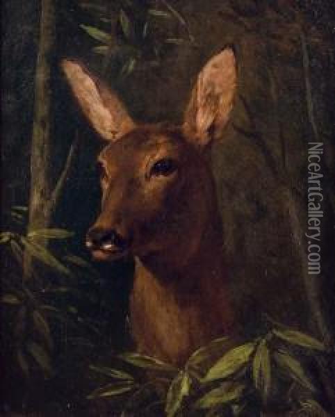Head Of A Deer Oil Painting - Claude Charles Rudhart