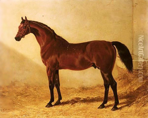 Glaucus, a bay racehorse in a stable Oil Painting - John Frederick Herring Snr