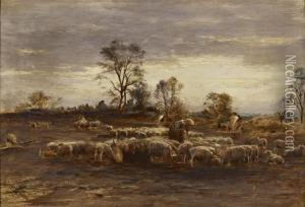 Tending The Flock Oil Painting - William Darling McKay