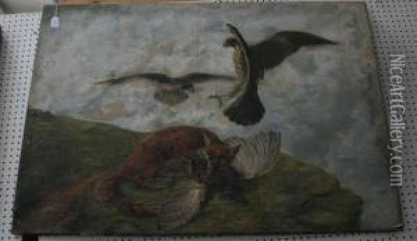 Study Of Two Buzzards Oil Painting - William Shaw