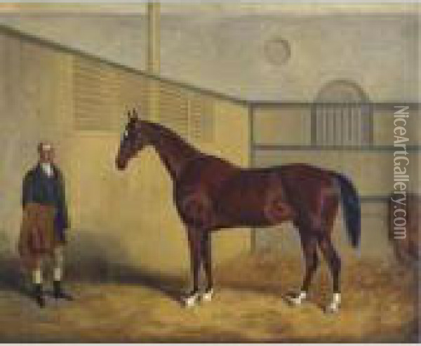 Midshipman And His Groom In A Stable Oil Painting - William Joseph Shayer