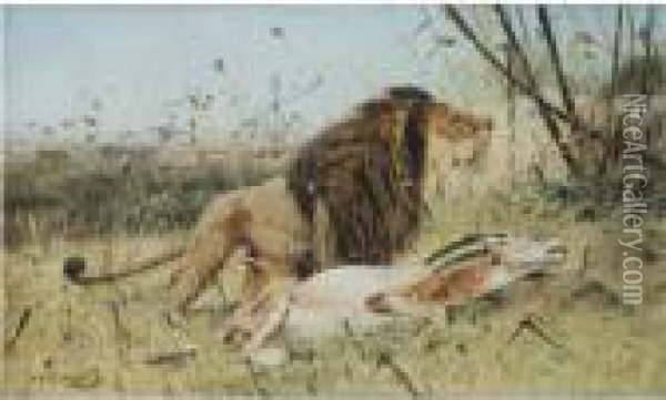 Lion And His Prey Oil Painting - Wilhelm Kuhnert