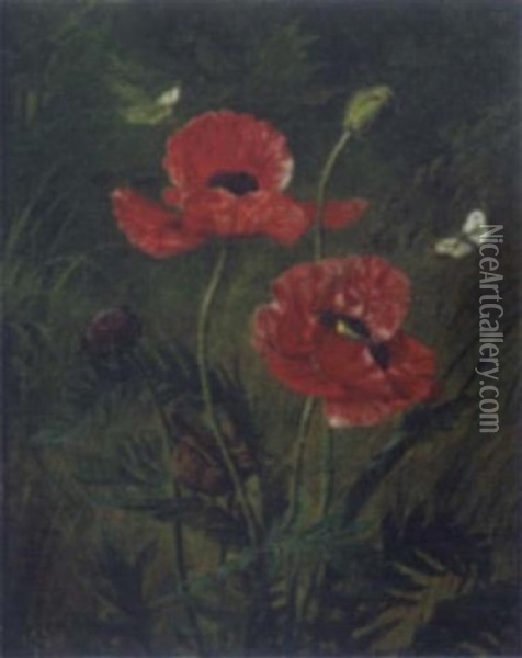 Still Life Of Poppies Oil Painting - Olaf August Hermansen