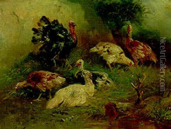 Turkeys In A Landscape Oil Painting - Henry Schouten