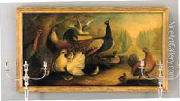 A Peacock, Cockerels, A Hen, A Dove And A Turkey In An Ornamentalgarden Oil Painting - Marmaduke Cradock