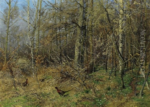 Fasane In Herbstlichem Walde Oil Painting - Hugo Muehlig