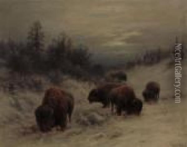 Bison Grazing Oil Painting - Frederick Arthur Verner