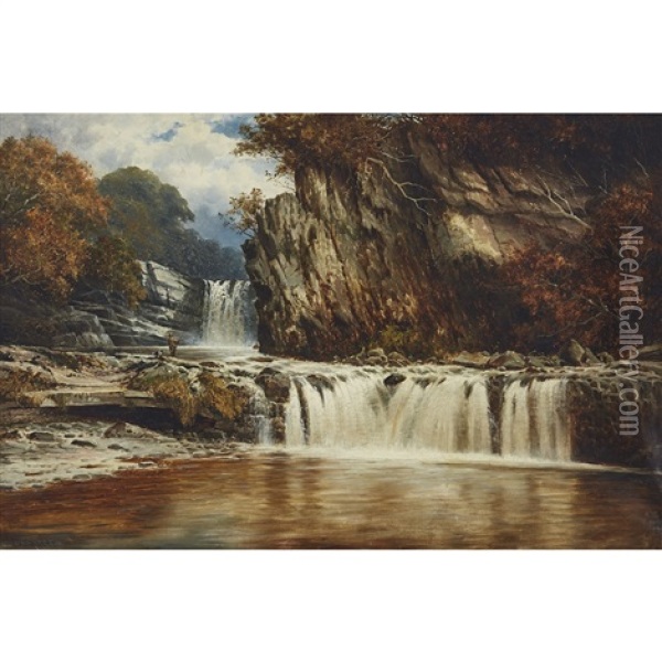 Falls In The Vale Of Meath Oil Painting - William Henry Mander