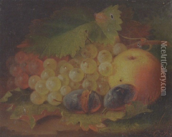 Still Life With Grapes, Plums And Apple Oil Painting - George Forster