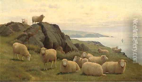 Sheep on a sunlit coast Oil Painting - William Sidney Cooper