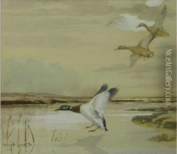 Mallards Landing Oil Painting - Binks, R. Ward