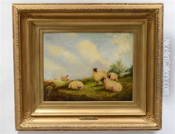 Sheep In A Meadow Oil Painting - Thomas Francis Wainewright