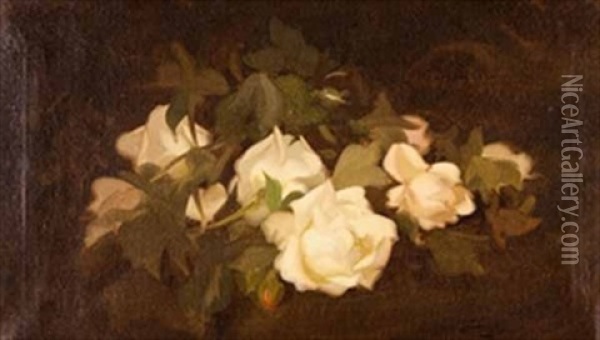 White Roses Oil Painting - Stuart James Park