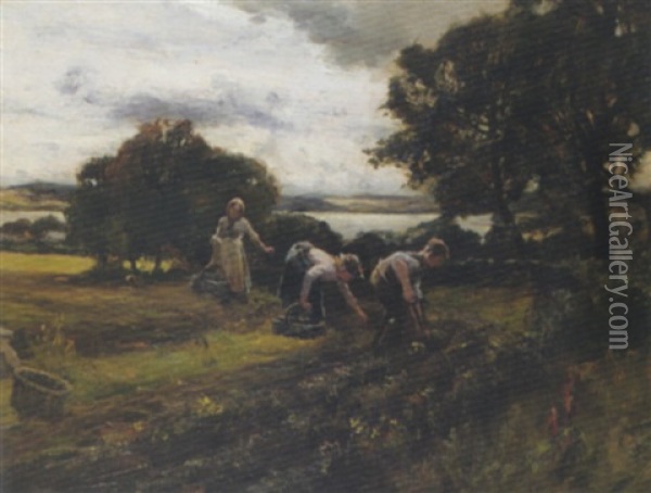 Gathering Potatoes, Menzieshill Oil Painting - William Bradley Lamond