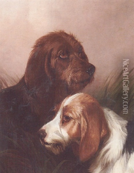A Pair Of Hounds Oil Painting - Colin Graeme
