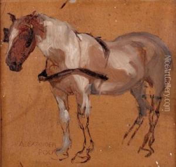 Pferdestudie Oil Painting - Alexander Pock