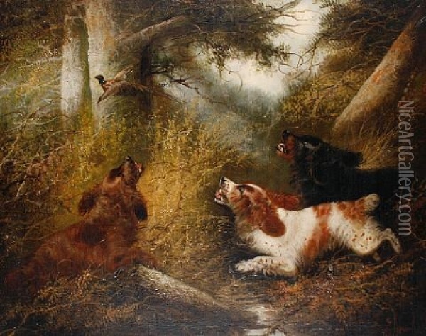 Spaniels Putting A Pheasant Up Oil Painting - Edward Armfield