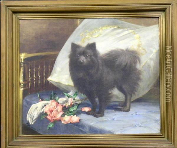Pomeranian On A Daybed Oil Painting - Charles Edwin Cookman