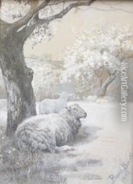Sheep Resting Beneath Trees Oil Painting - Basil Bradley