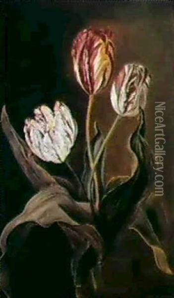 Etude De Trois Tulipes Oil Painting - Jan Frans Van Dael