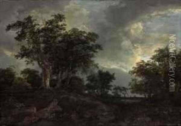 A Wooded Landscape With A Pond Oil Painting - Jacob Van Ruisdael