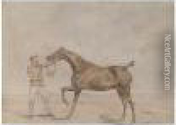 A Horse And Jockey Oil Painting - Henry Thomas Alken