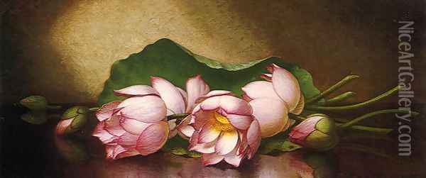 Egyptian Lotus Blossom Oil Painting - Martin Johnson Heade