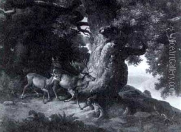 Deer In A Glade Oil Painting - Johann-Baptist Zwecker