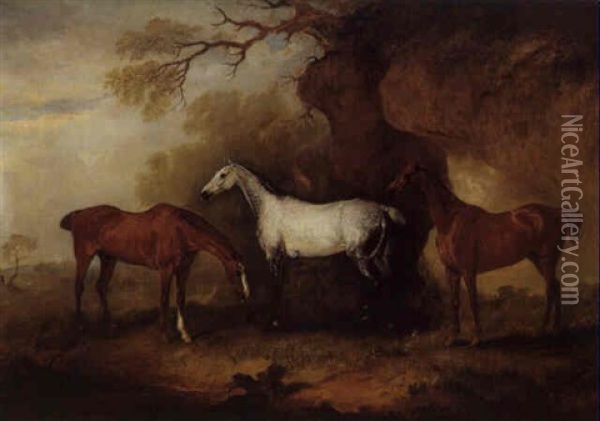 Three Hunters Belonging To Robert Myddelton-biddulp Oil Painting - John E. Ferneley