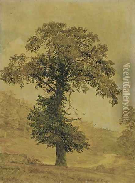 Study of a Tree Oil Painting - Jasper Francis Cropsey