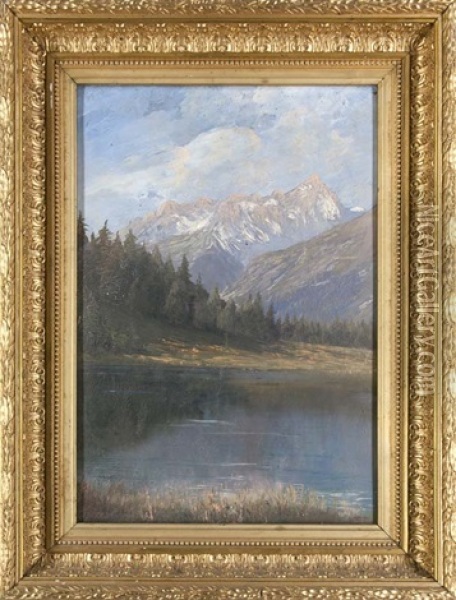 Landschaftsansicht Mit See Und Gebirgszug Oil Painting - Johann Conrad Zeller