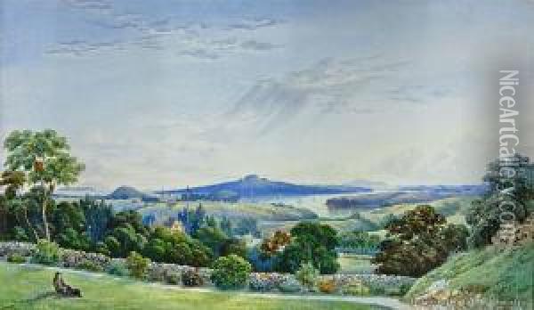 Panorama Of Auckland From Mt Hobson Oil Painting - John Barr Clarke Hoyte