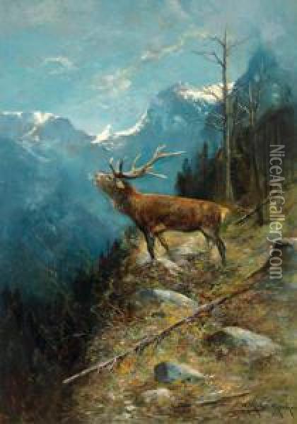 Rohrender Hirsch Oil Painting - Moritz Muller