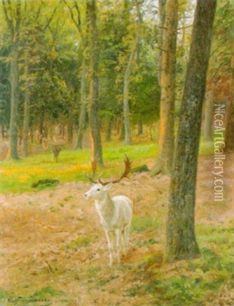 Im Wildpark Oil Painting - Carl Zimmermann