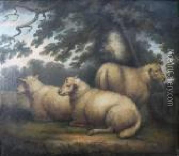 Three Sheep Resting Beneath A Tree Oil Painting - George Morland