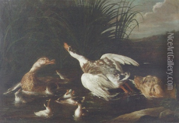 A Hunting Dog Chasing Waterfowl Oil Painting - Alexandre Francois Desportes