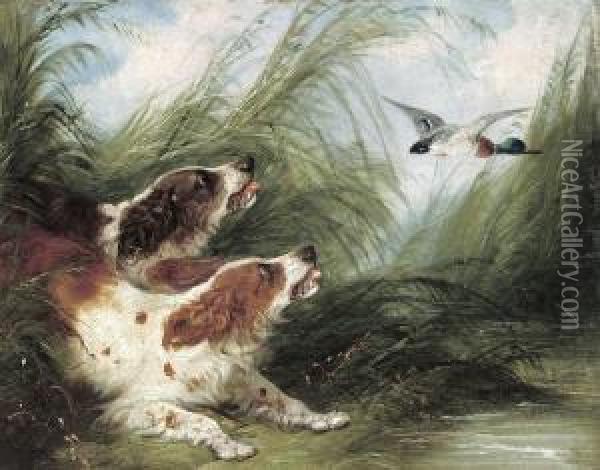 Spaniels Surprising A Duck Oil Painting - George Armfield