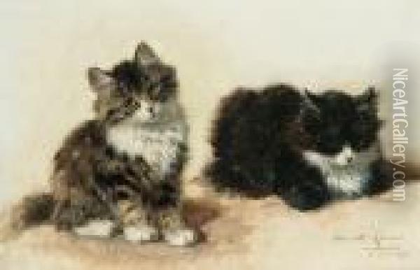 Banjo And His Brother Oil Painting - Henriette Ronner-Knip