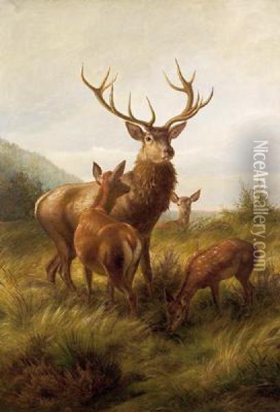Il Cervo Capobranco Oil Painting - Carl Friedrich Deiker