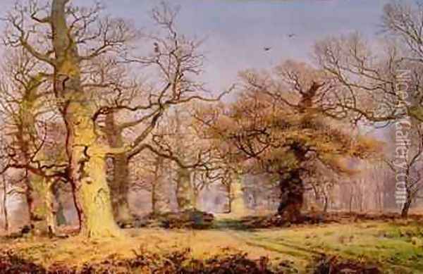 Oak Trees in Sherwood Forest 1877 Oil Painting - Andrew MacCallum