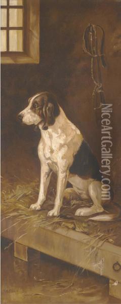 A Foxhound In A Kennel Oil Painting - M. Flint