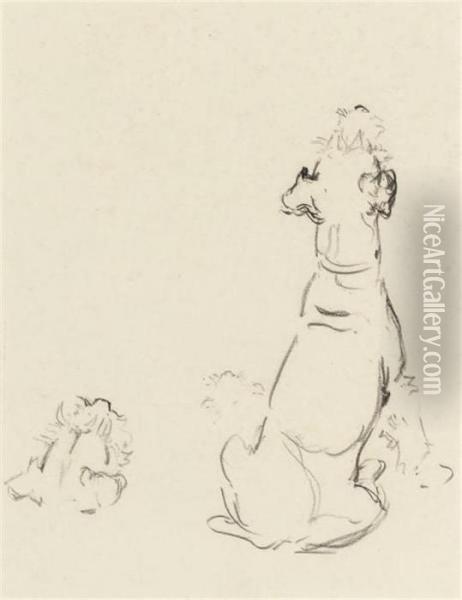 A Study Of Hungry Dogs Oil Painting - Cecil Charles Aldin