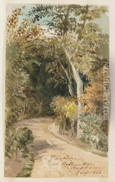 An Album Of Studies Of Trees In South-west London Oil Painting - Thomas Lindsay