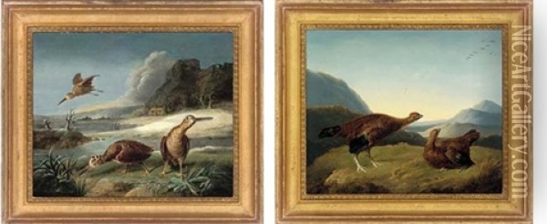 Red Grouse In A Highland Landscape (+ Woodcock In A River Landscape; Pair) Oil Painting - Stephen Elmer