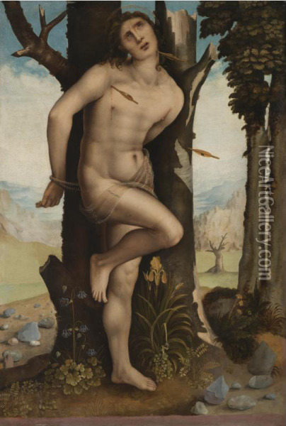 Saint Sebastian Oil Painting - Cesare da Sesto