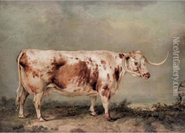Portrait Of A Longhorn Cow Oil Painting - James Ward